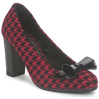 Foto Zapatos Mujer Maloles Cinta