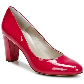 Foto Zapatos Mujer Perlato Delio