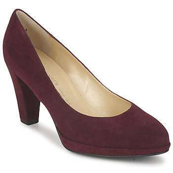 Foto Zapatos Mujer Peter Kaiser Velia