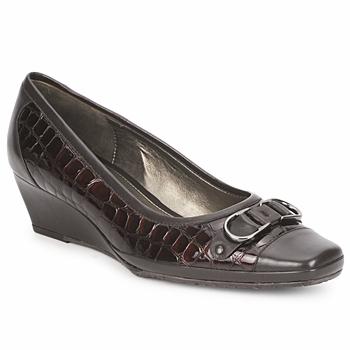 Foto Zapatos Mujer Van Dal Cognac