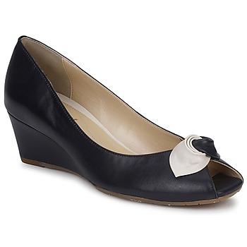 Foto Zapatos Mujer Van Dal Manila