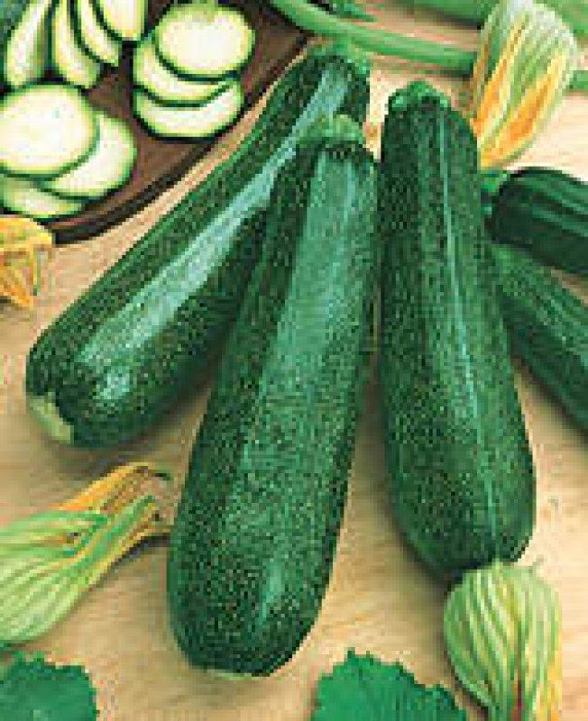 Foto Zucchetti, Zucchini 'Diamant F1' - Cucurbito pepo - Samen