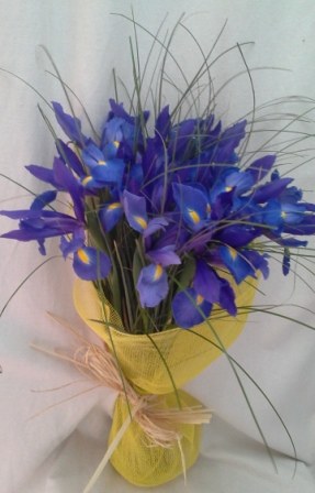 Foto 


Ramo 15 iris azules /филиал 15 ирис голубой

 foto 255705