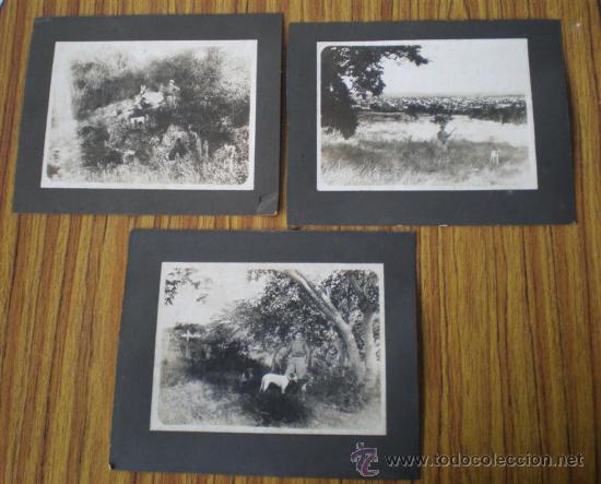 Foto 3 fotos antiguas de cazador con perro foto 211123