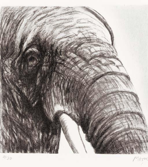 Foto Aceite de Reproducción 60 x 80 CM - Henry Moore - Cabeza de Elefante