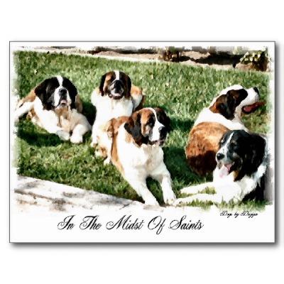 Foto Amantes de St Bernard Postal foto 280594