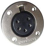 Foto Amphenol EP5 Female for Installation foto 618390