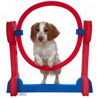 Foto Aro Agility para interior - Set: 70 x 32 x 68 cm b(L x An x Al) foto 841433