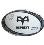 Foto Balon Rugby Ospreys 73073 foto 357109
