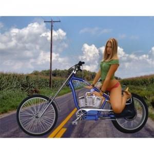 Foto Bicicleta chopper eléctrica E-Rider 36V