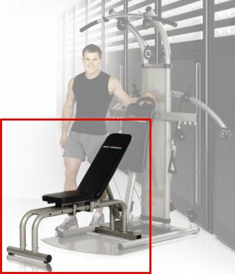 Foto Bio Force Power Bench (2010-2011 collectie) foto 645948