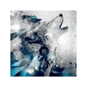 Foto Bisz - wilk chodnikowy (cd)