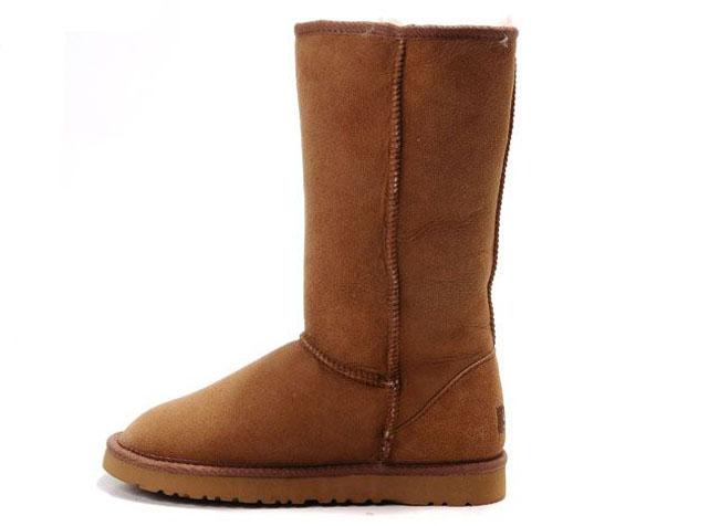 Foto Botas Ugg Classic Tall Mujer Botas 5815 - Castana foto 27190