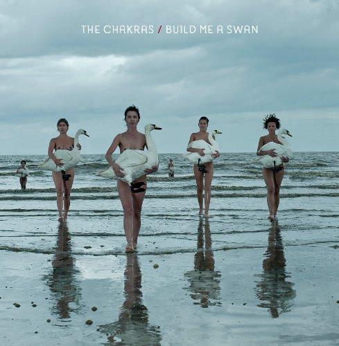 Foto Build Me A Swan Vinyl foto 596922