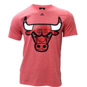 Foto Camiseta Chicago Bulls HWC Triblend foto 295689