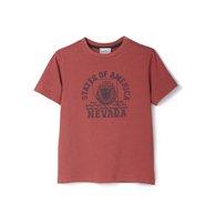 Foto Camiseta estampada para niño - Cyrillus foto 750070