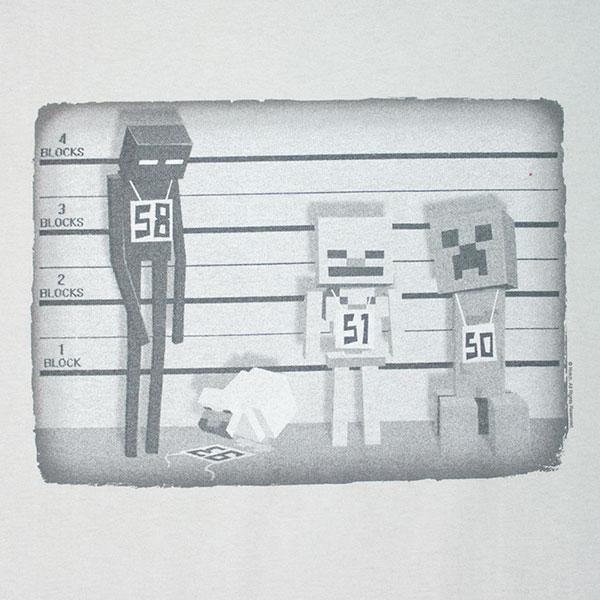 Foto Camiseta Minecraft Lineup foto 835326