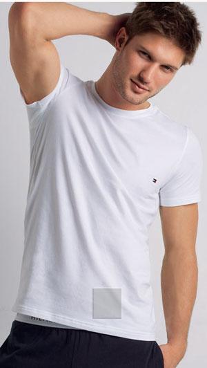 Foto Camisetas de hombre manga corta lisa colección mini flag de tommy hilf foto 324124