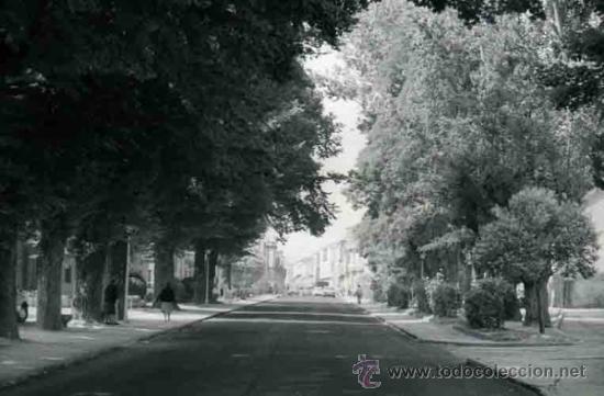 Foto carretera con árboles lugar sin determinar c 1965 foto 213177