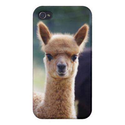Foto Caso del iPhone 4 de la alpaca Iphone 4 Carcasa foto 234406