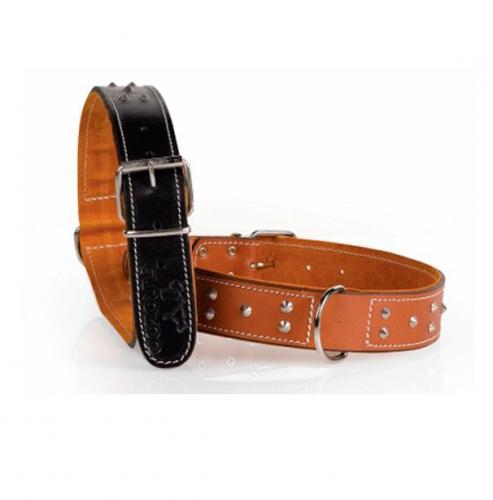 Foto Collar especial perro Mastín