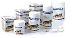 Foto Complementos Y Suplementos Bioiberica Cosequin Taste Ha 500 Comp