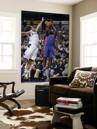 Foto Detroit Pistons v Dallas Mavericks: Will Bynum and Jose Juan Barea foto 282946