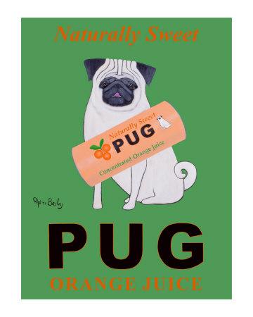 Foto Edición limitada Zumo de naranja Pug de Ken Bailey, 48x33 in. foto 886317