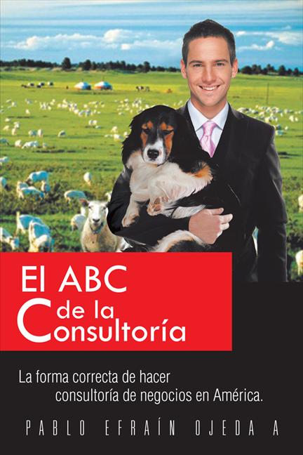 Foto El abc de la consultoría foto 164498