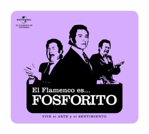 Foto El Flamenco Es foto 339381