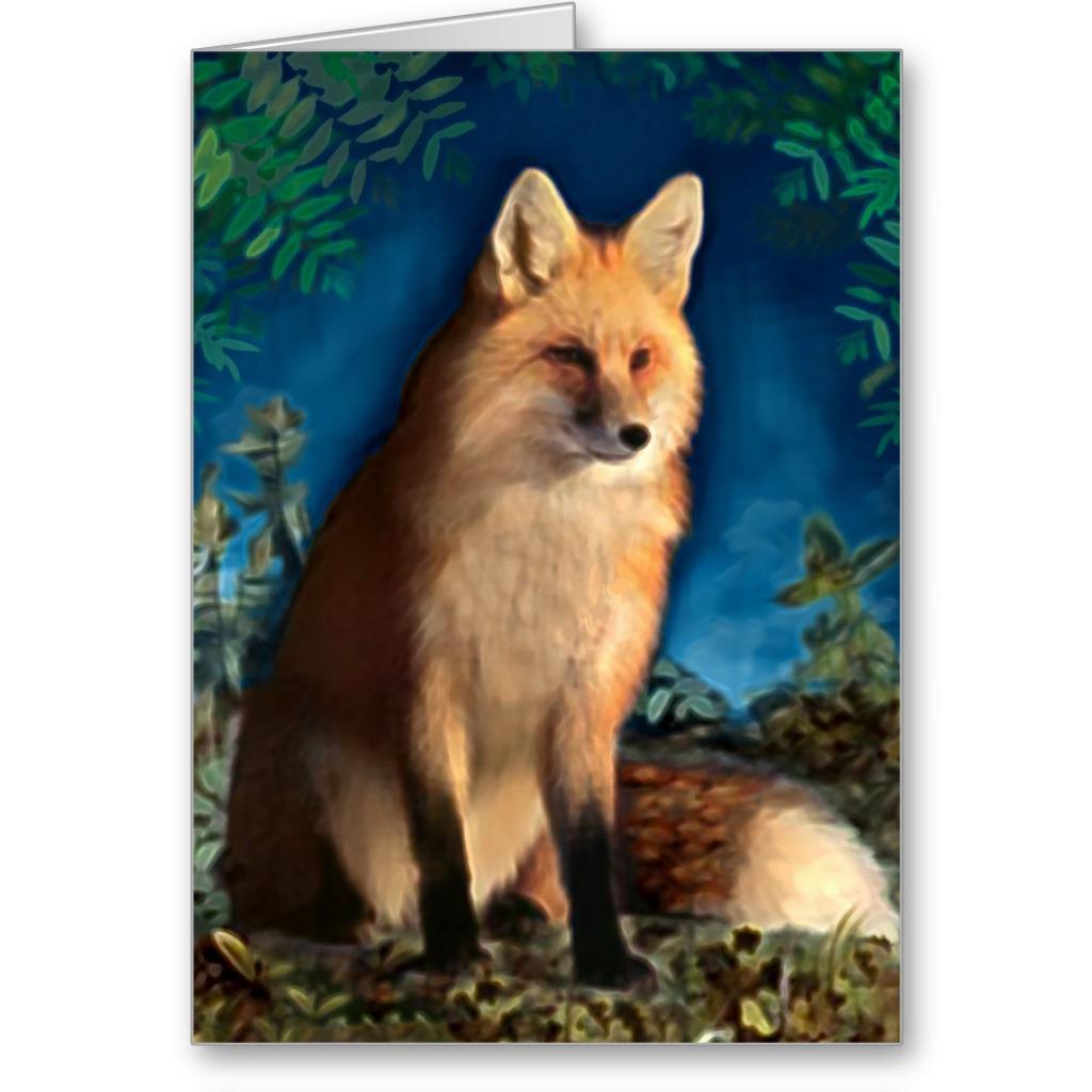 Foto El Fox Foxes la tarjeta de los animales de la faun foto 968817