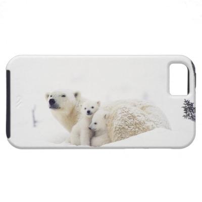 Foto El oso polar recién nacido pare Newlin hola res Iphone 5 Case-mate... foto 75089