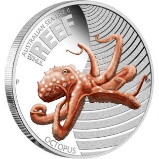 Foto EL PULPO, AUSTRALIAN SEA LIFE II SERIES AUSTRALIA 2012