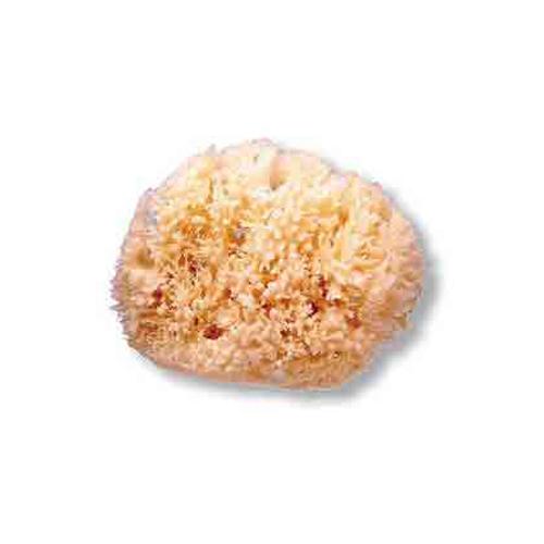 Foto Esponja natural canastilla. - Planet Baby