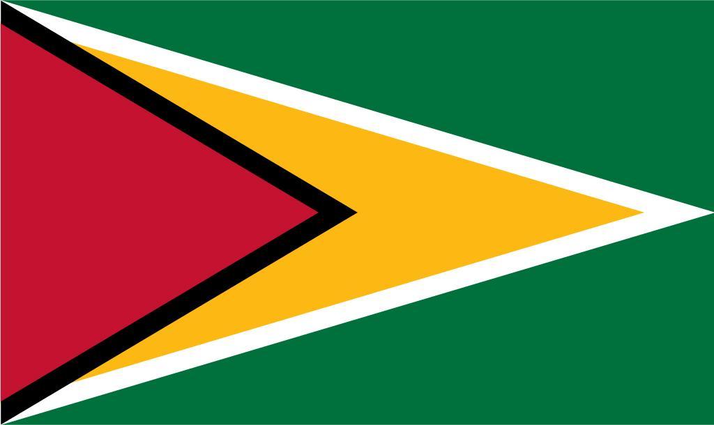 Foto Flag 3ft X 5ft (90cm X 150cm) - Guyana