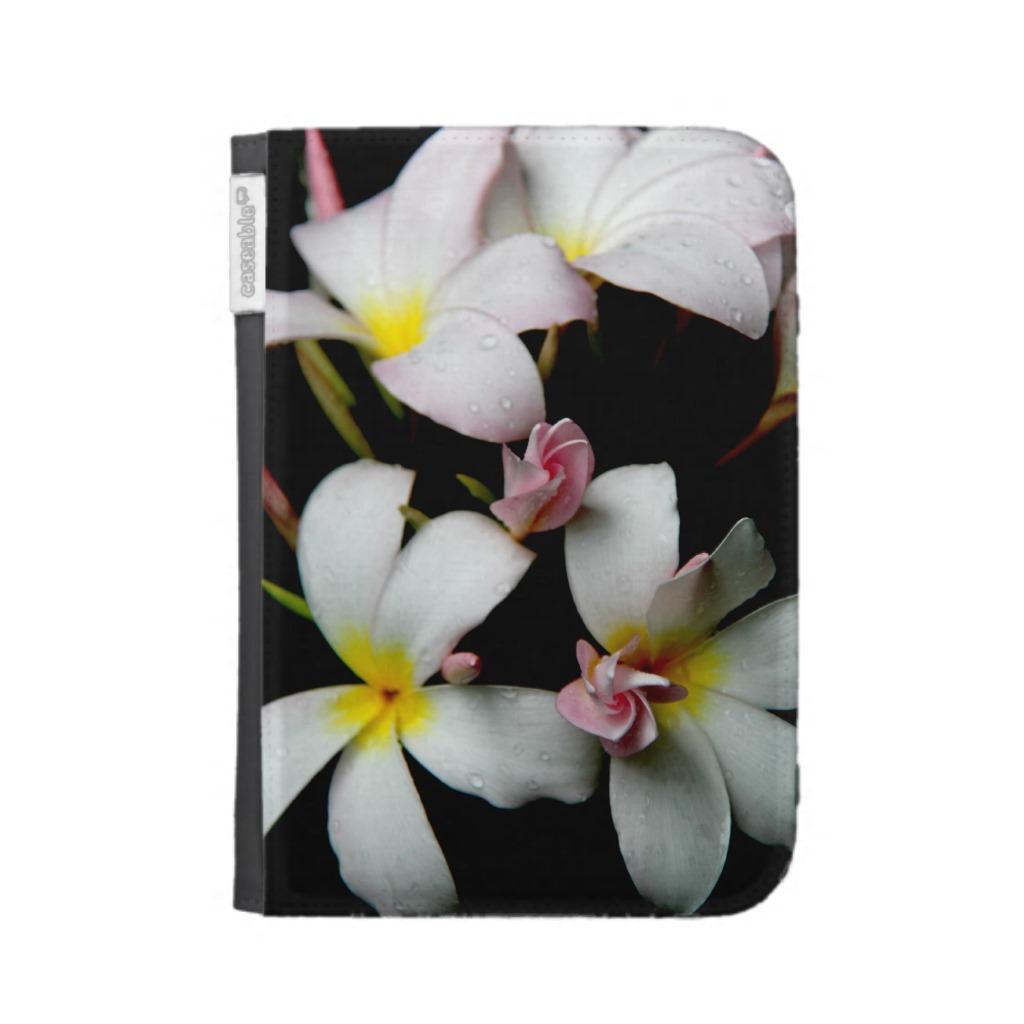 Foto Floraciones y brotes del Plumeria, en fondo negro foto 917576