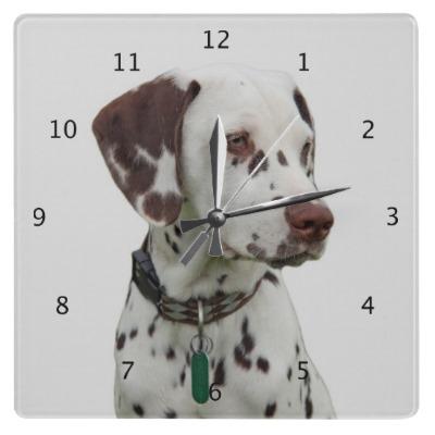 Foto Foto hermosa del perro dálmata Relojes De Pared foto 211121
