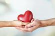 Foto FotoMural Heart in hands on light background