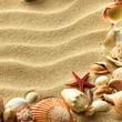 Foto FotoMural Sea shell on sand foto 482641