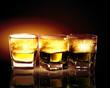 Foto FotoMural Three glasses of whiskey foto 357811