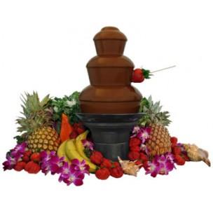 Foto Fuente Chocolate Mini Fondue foto 358681