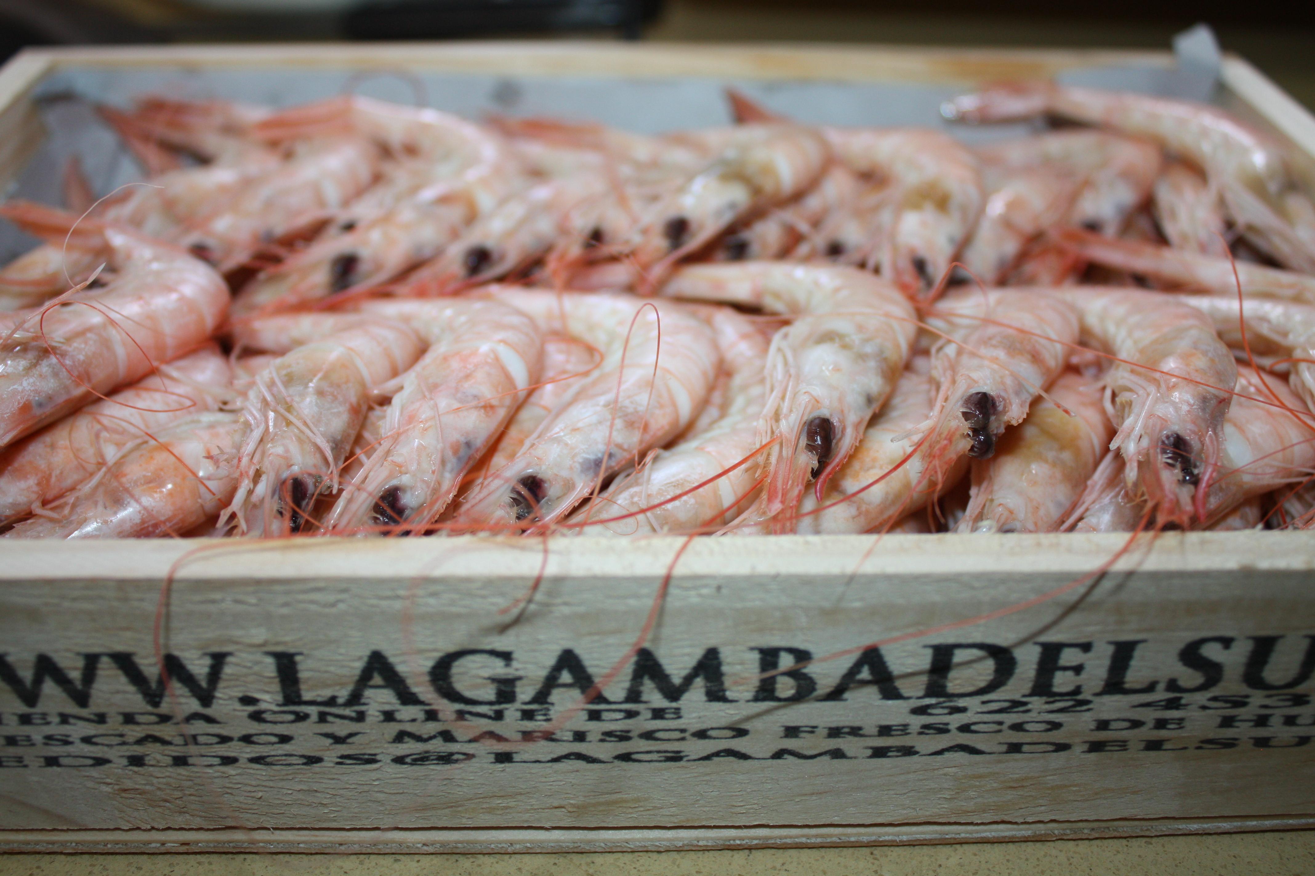 Foto Gamba Blanca de Huelva (fresca, cocida o congelada)