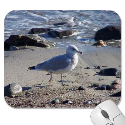Foto Gaviota que da un paseo Alfombrilla De Raton foto 138256