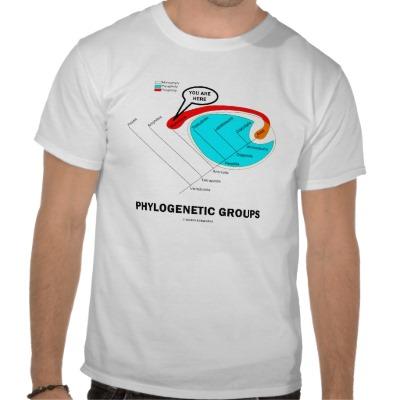 Foto Grupos filogenéticos - usted está aquí Camisetas foto 386254