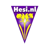 Foto Hesi Hidro Crecimiento 1L foto 146812