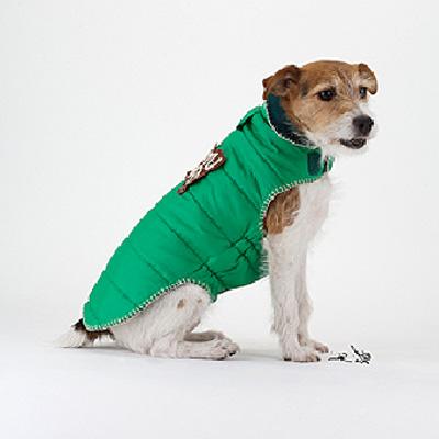 Foto Impermeable Verde United Pets