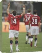 Foto Impresión de lona de 51cm of MLS All Star Game - v Manchester... foto 98830