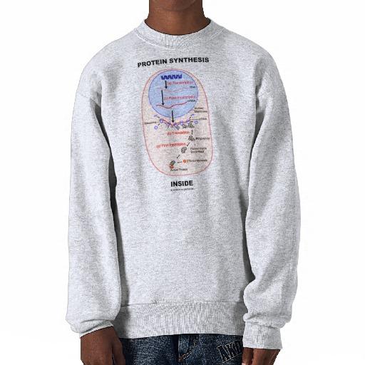 Foto Interior de la síntesis de la proteína (diagrama d Sudadera foto 436127