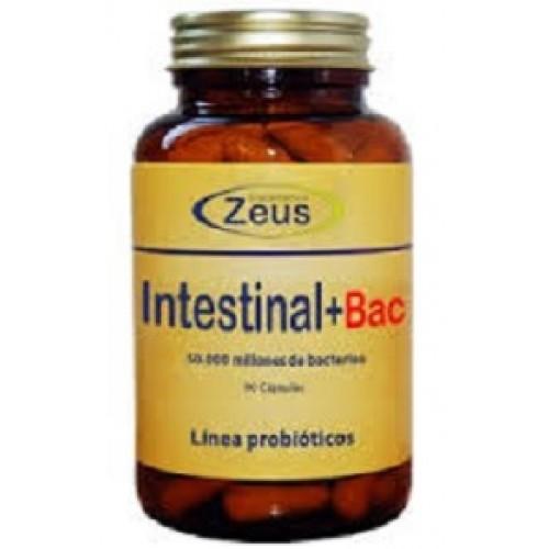 Foto INTESTINAL BAC DE ZEUS foto 283217
