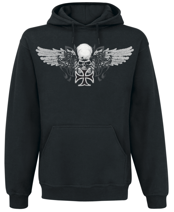 Foto Iron Wings: Sudadera con capucha foto 490846